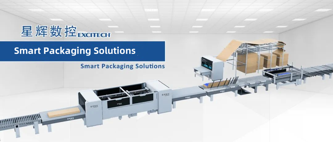 Quanta cartons potest EXCITECH scriptor charta dromonis processus?