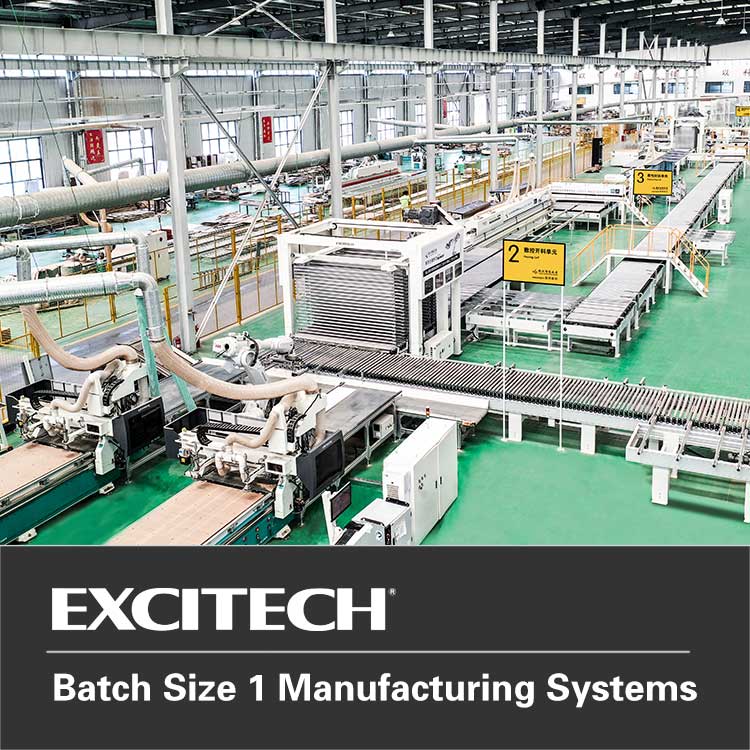 Batch Size 1 Vestibulum Systems